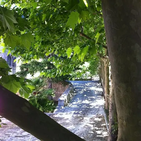 فندق Giordano سيلفا دو فاسانو